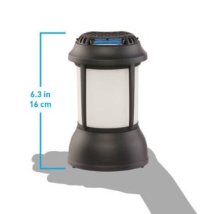Bristol Lantern & Repeller - Image 5